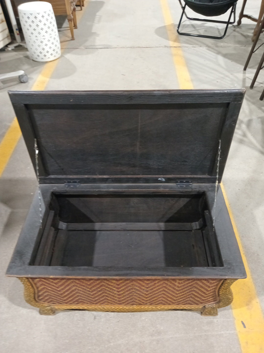 Pretty Storage Trunk