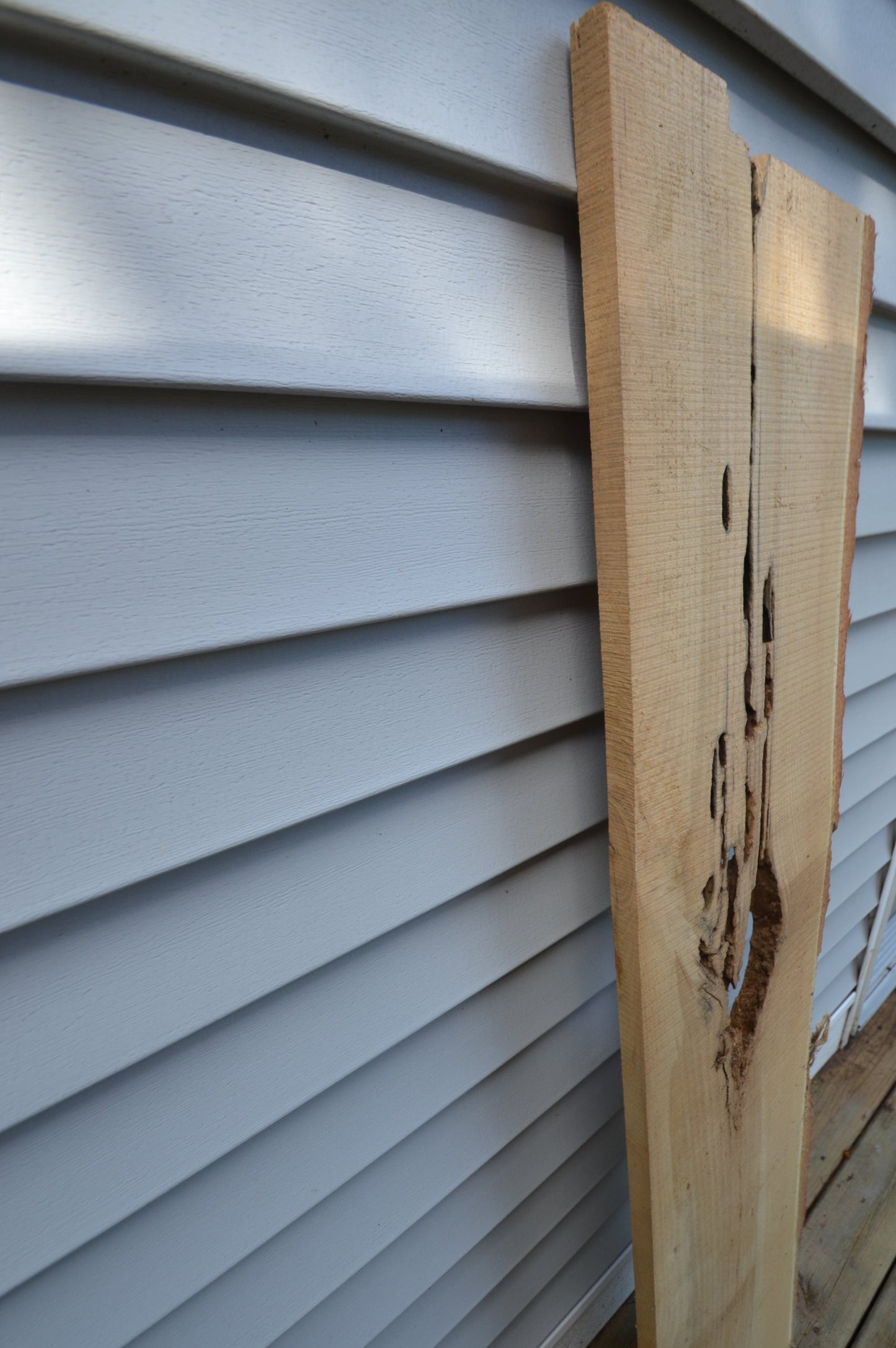 Rustic Board #1