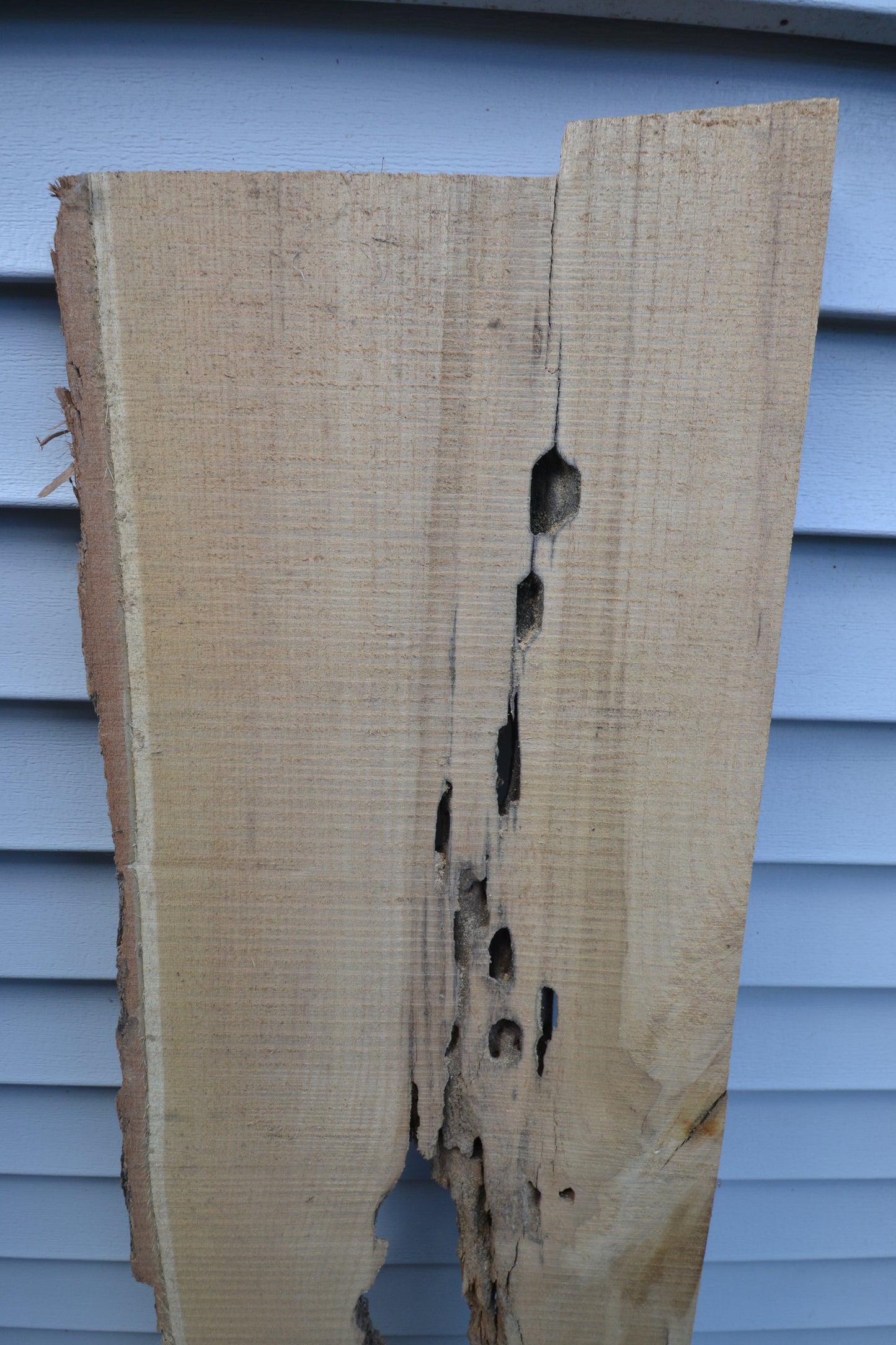 Rustic Board #1