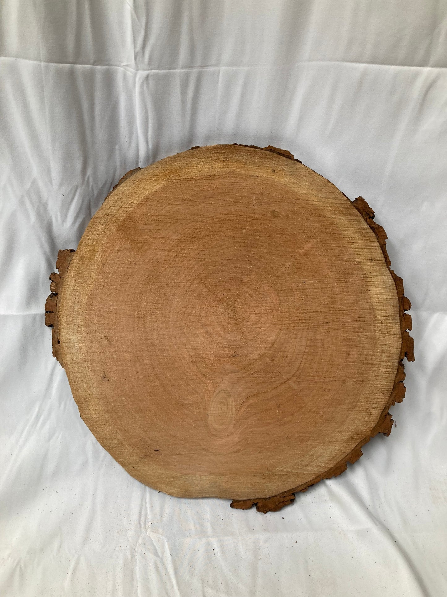 Large Rustic Wood Slice