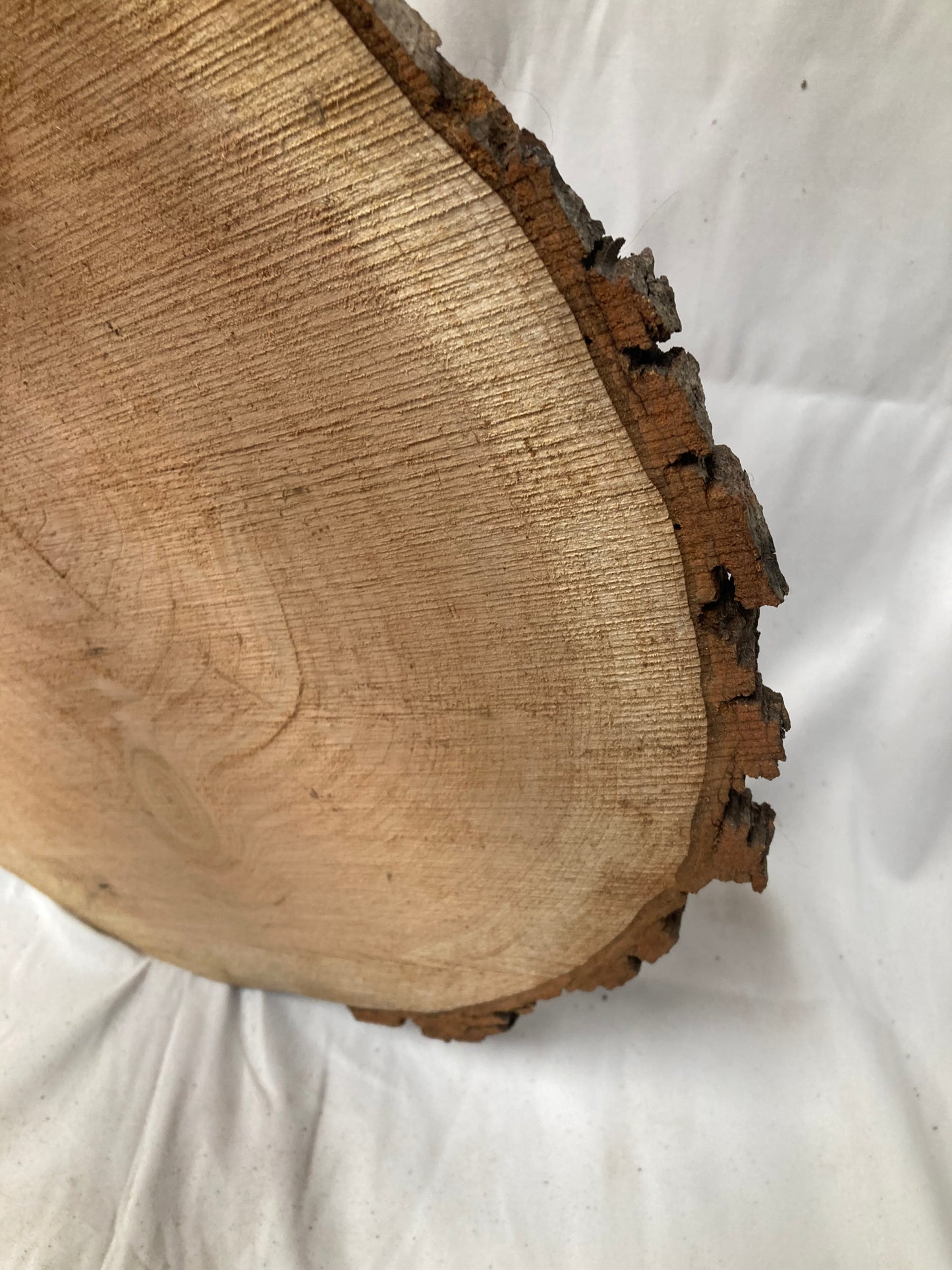 Large Rustic Wood Slice