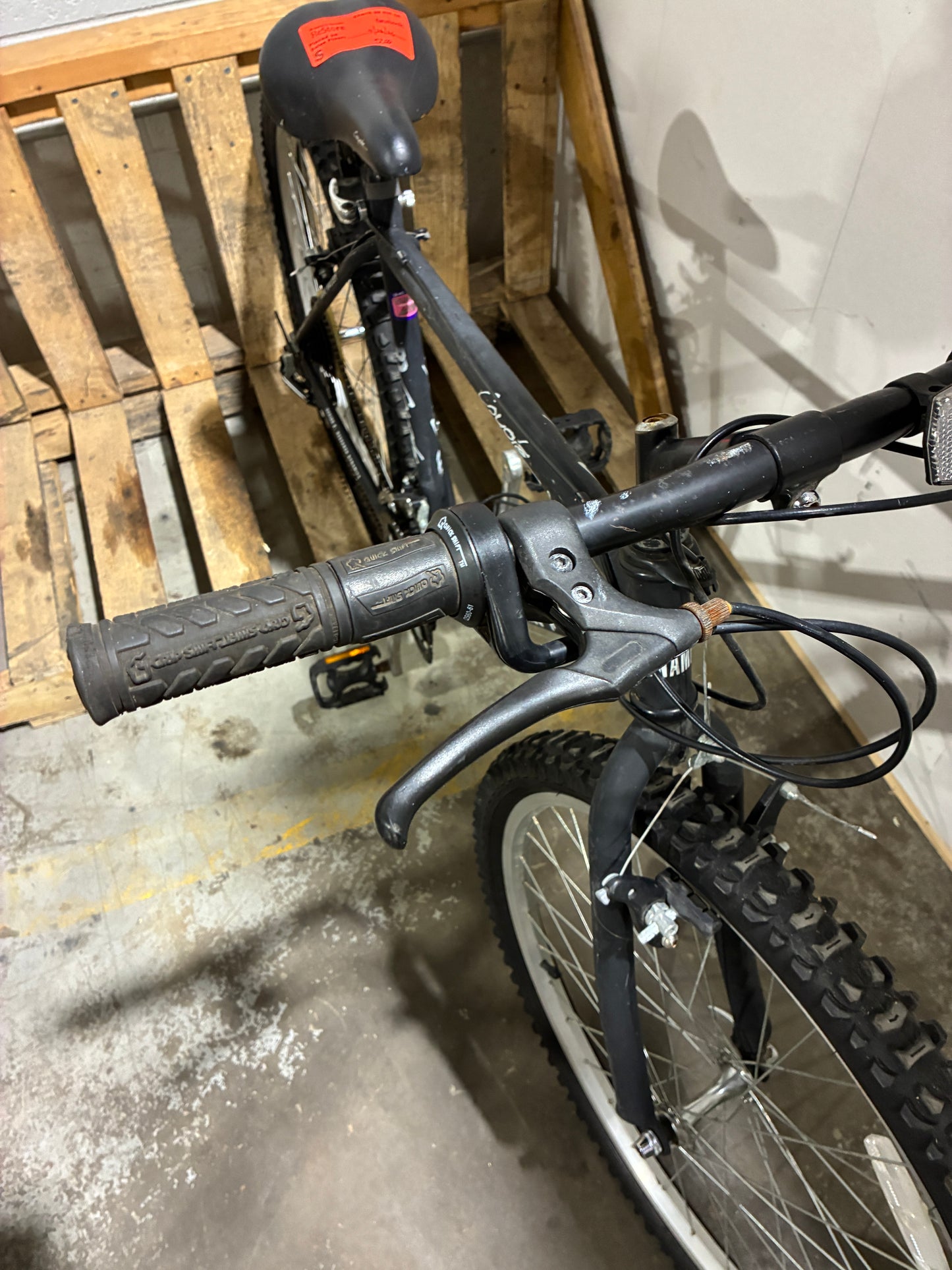 Research Dynamics Coyote 975 Mountain Bike
