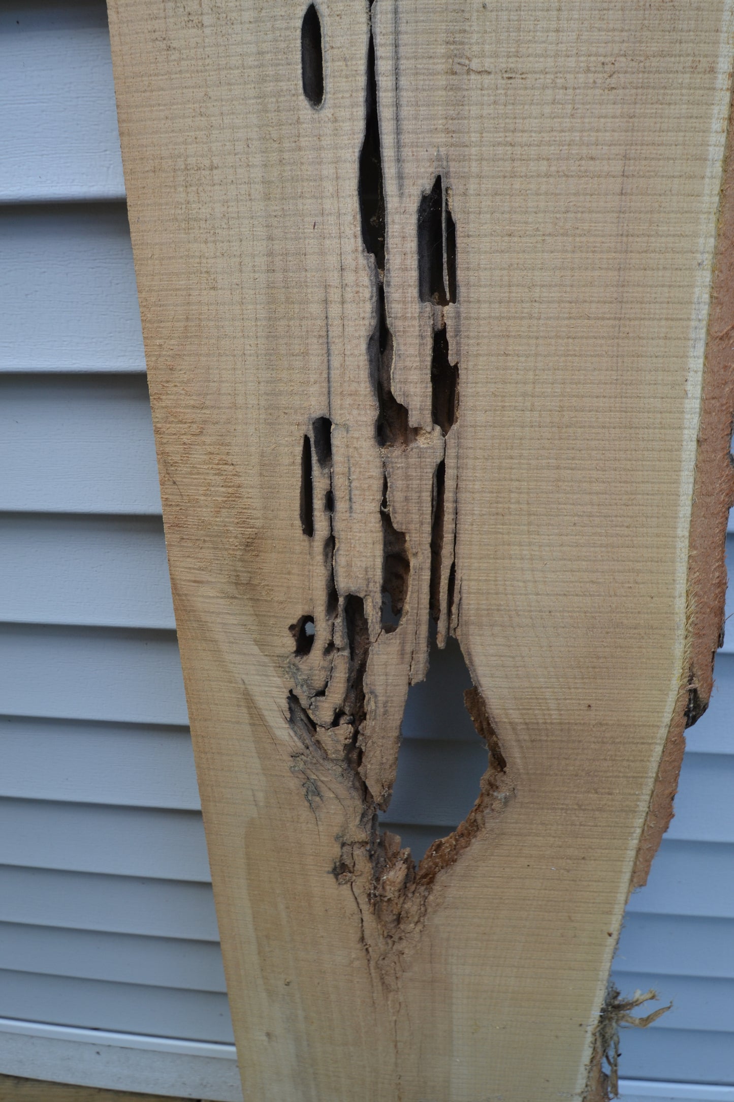 Rustic Board #1