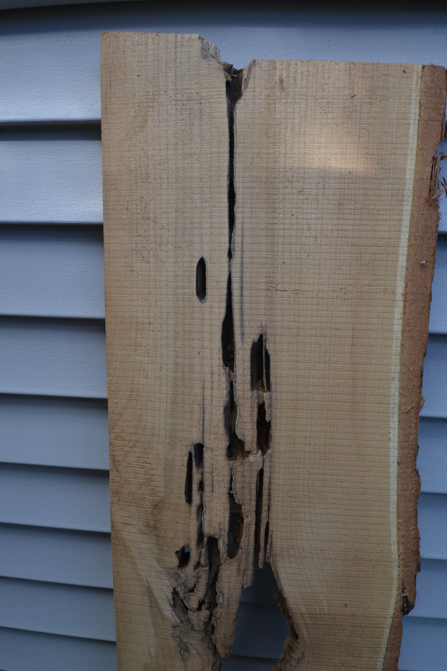 Rustic Board #1