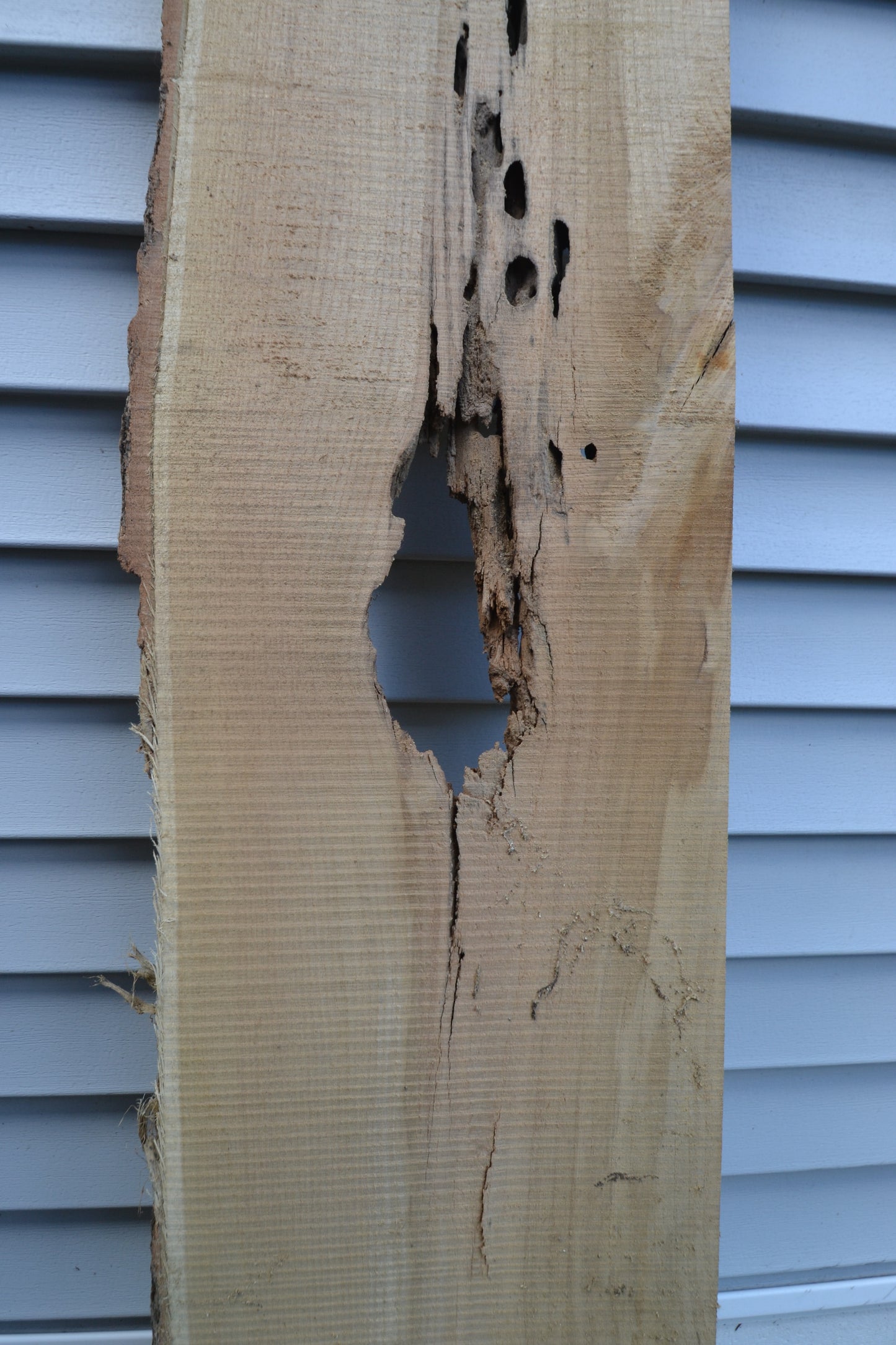 Rustic Board #1