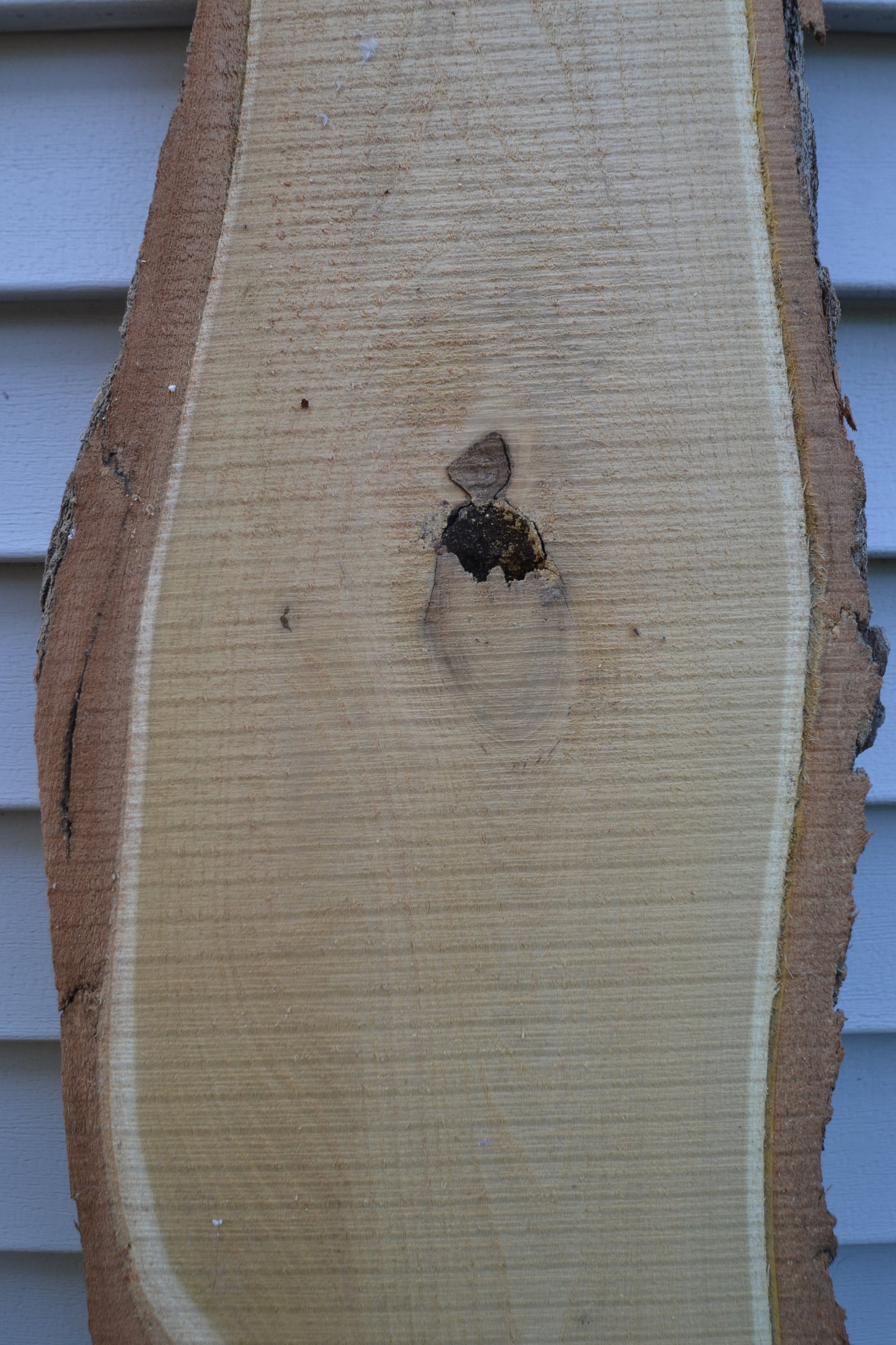 Rustic Board #2