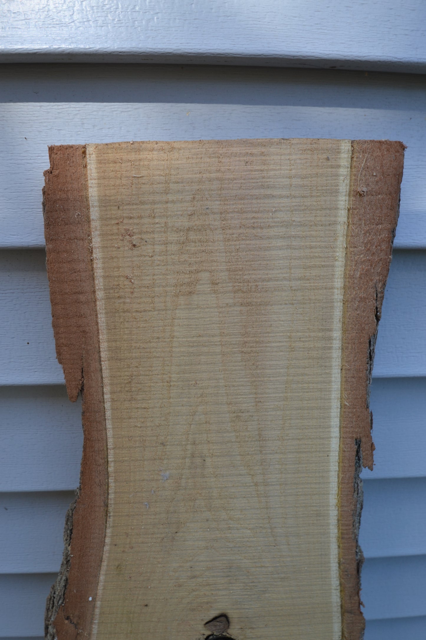 Rustic Board #2