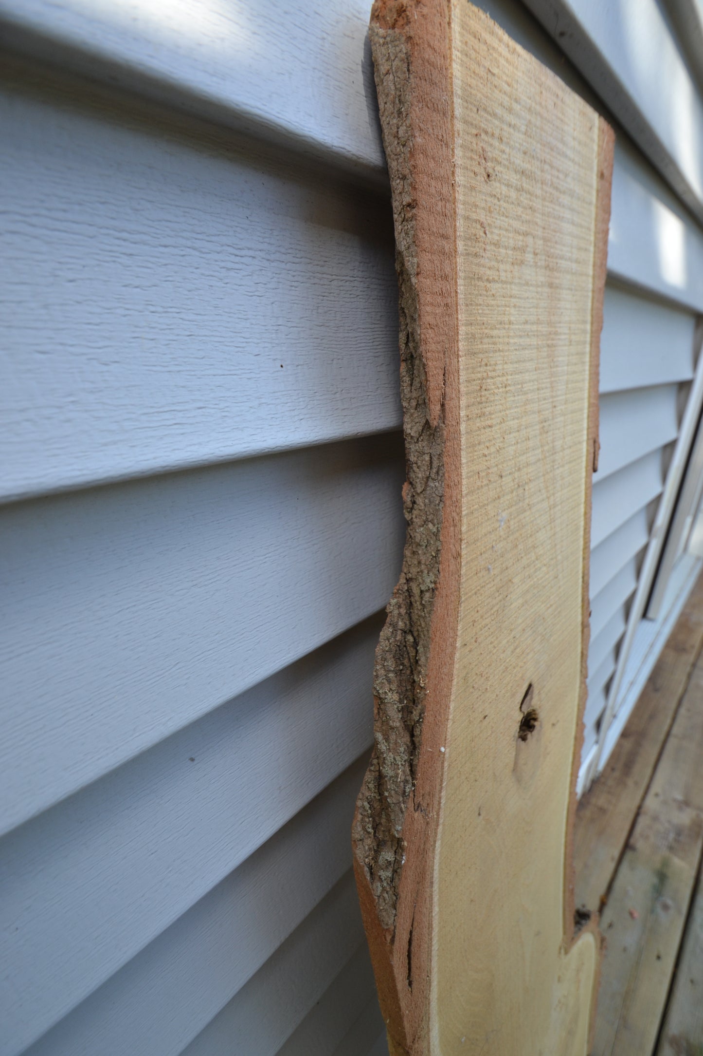 Rustic Board #2