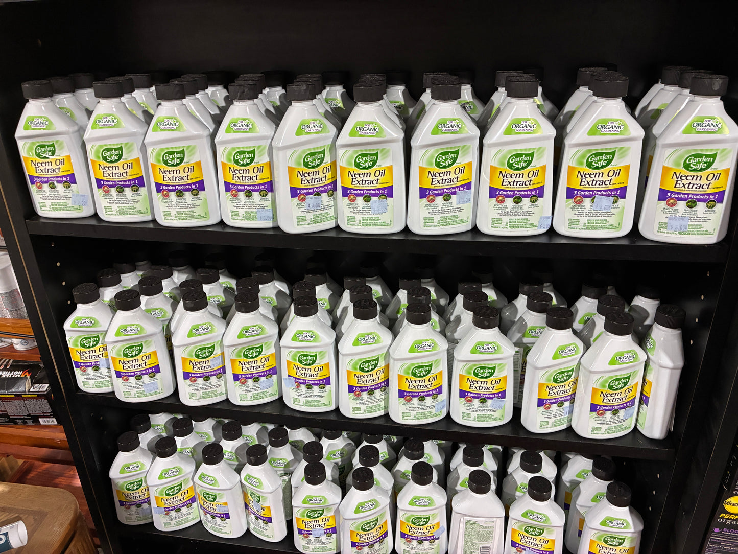 Garden Safe Neem Oil Extract Concentrate 10 oz