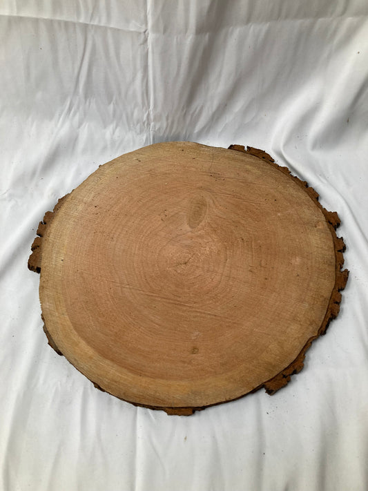 Large Rustic Wood Slice