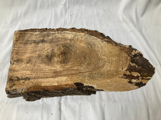 Rustic Live Edge Wood Slab