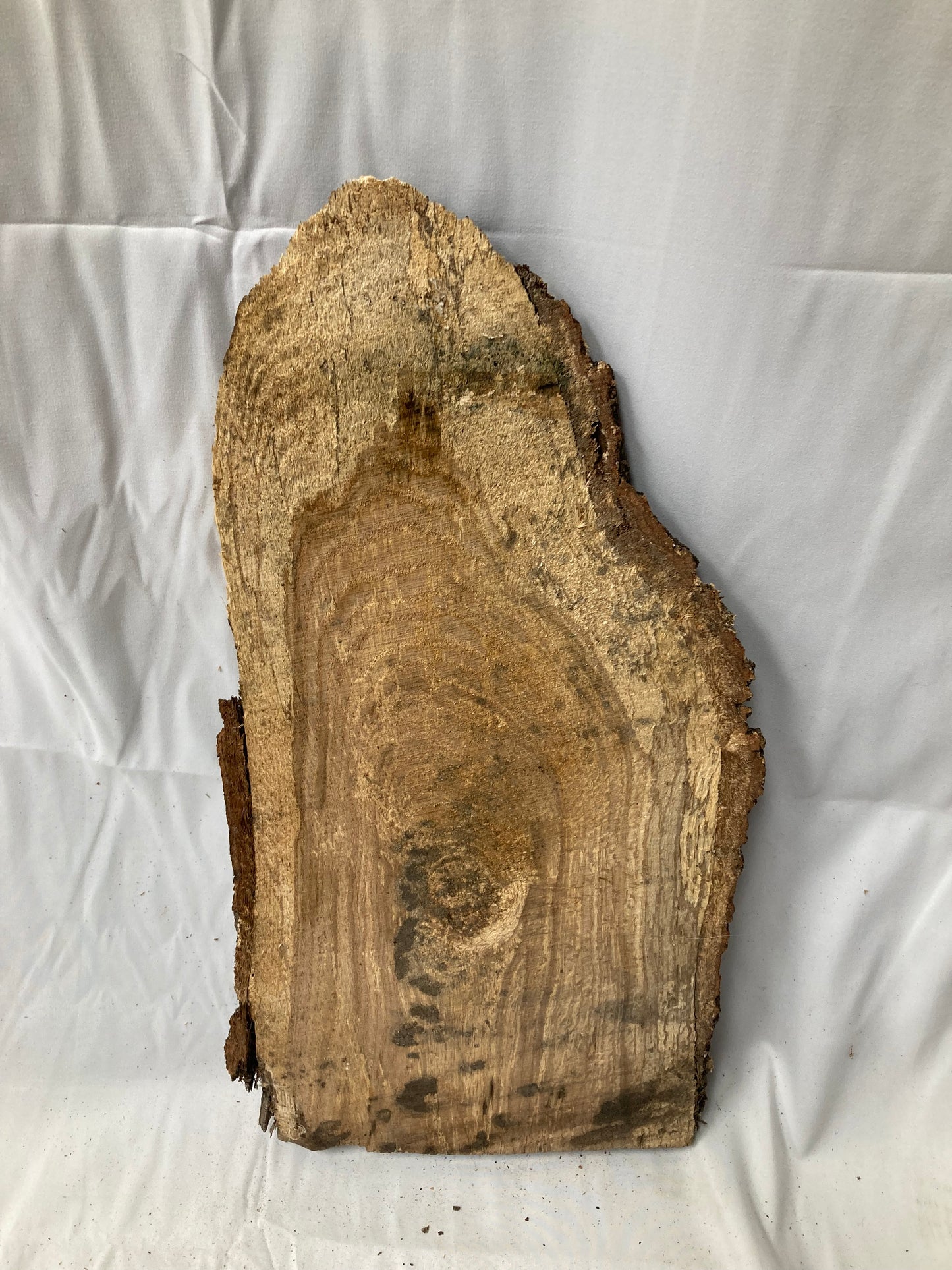 Rustic Live Edge Wood Slab
