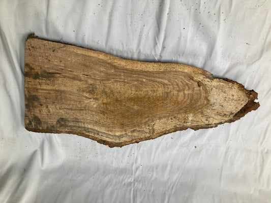 Rustic Live Edge Wood Slab #2