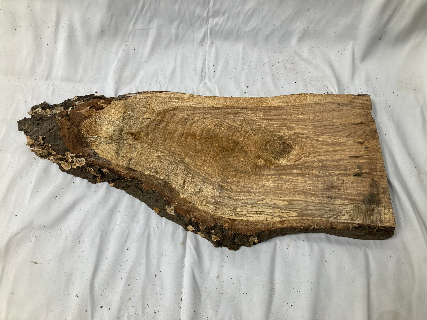 Rustic Live Edge Wood Slab #2