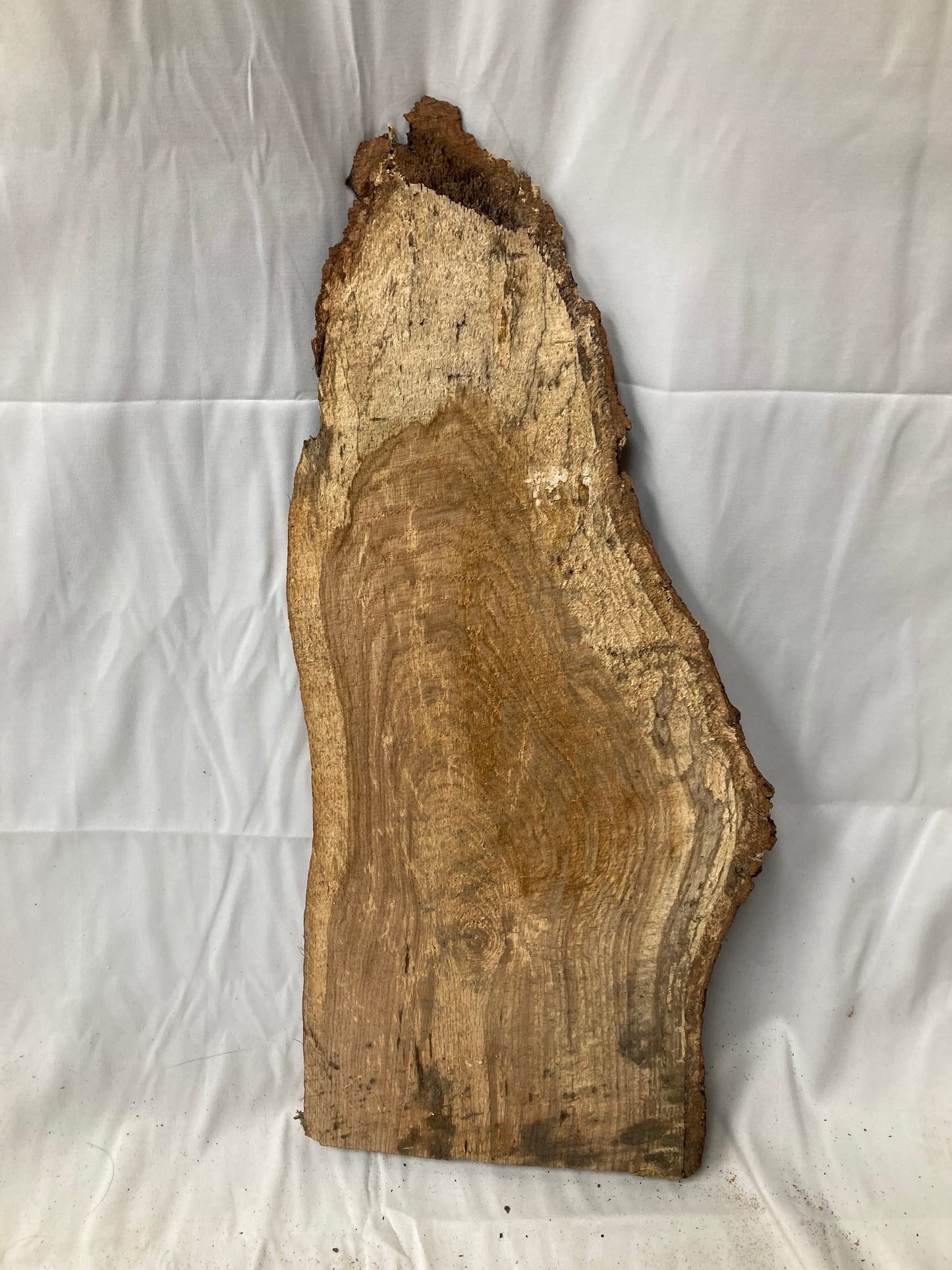 Rustic Live Edge Wood Slab #2