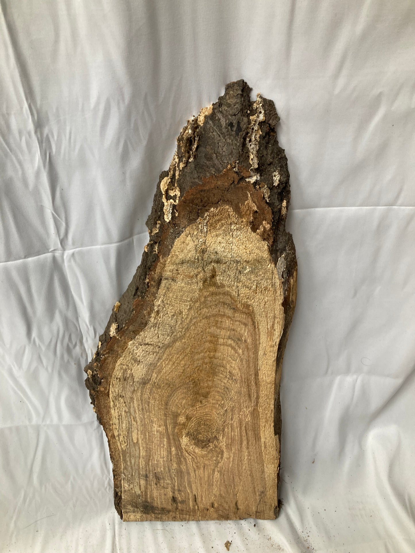 Rustic Live Edge Wood Slab #2