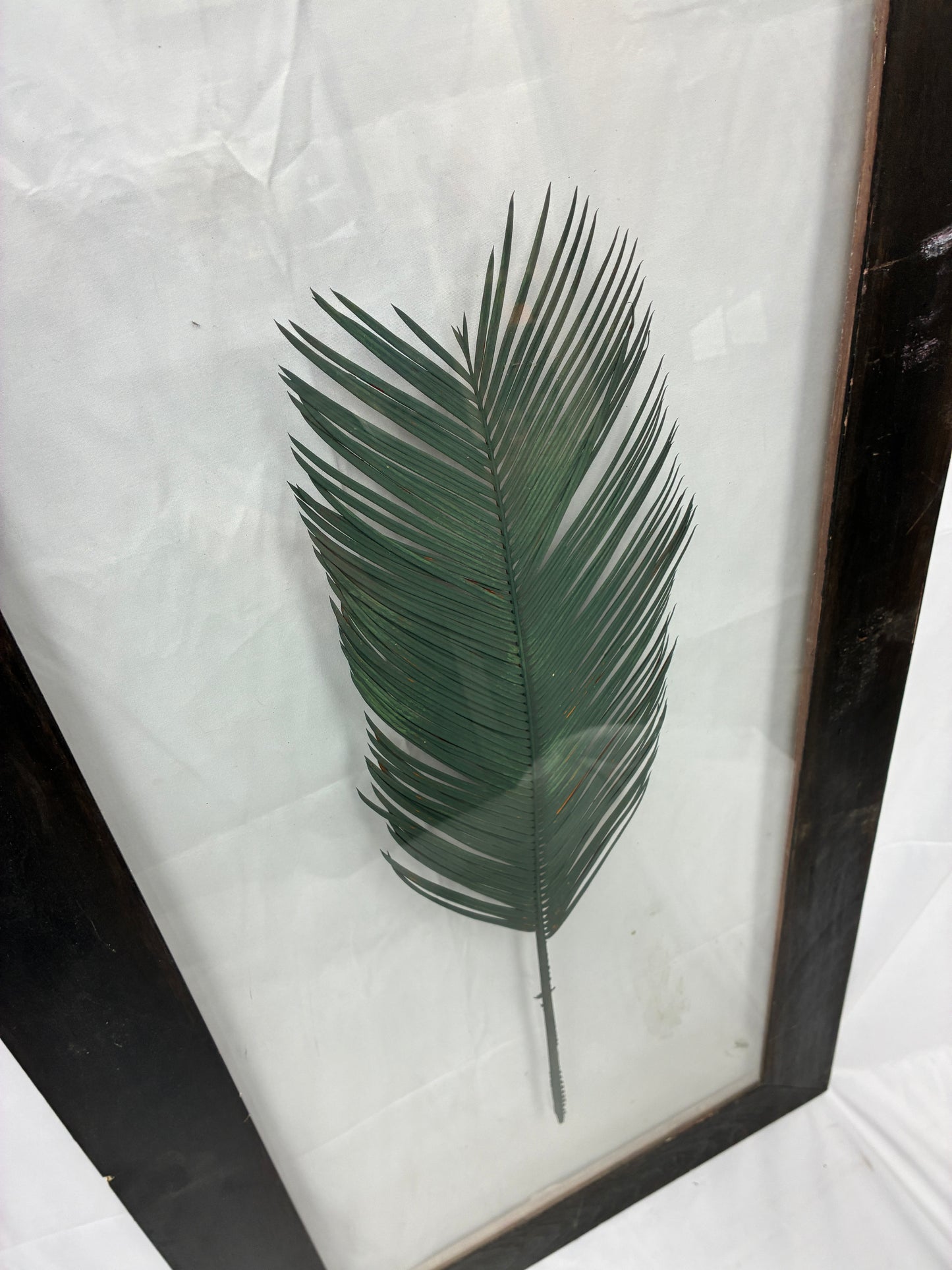 Empire Art Products Framed Palm Leaf Wall Art