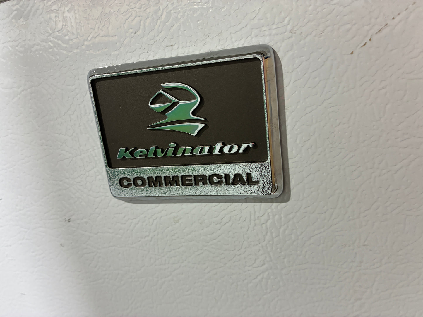 Electrolux Commercial Chest Freezer #2