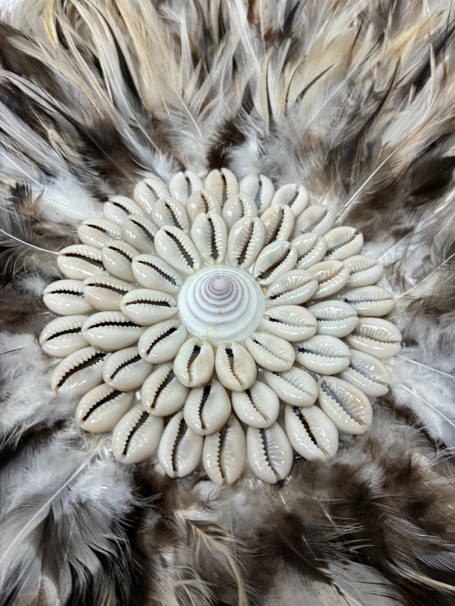 Decorative Feather Wall Art Discs with Shell Center