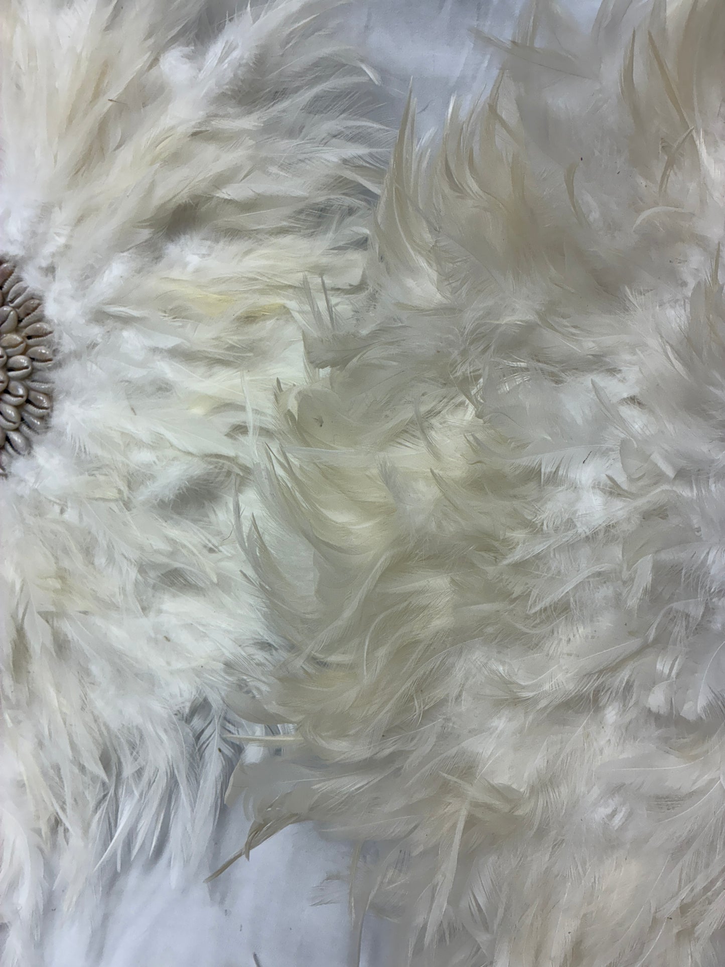 White Feather Wall Art Discs with Shell Center