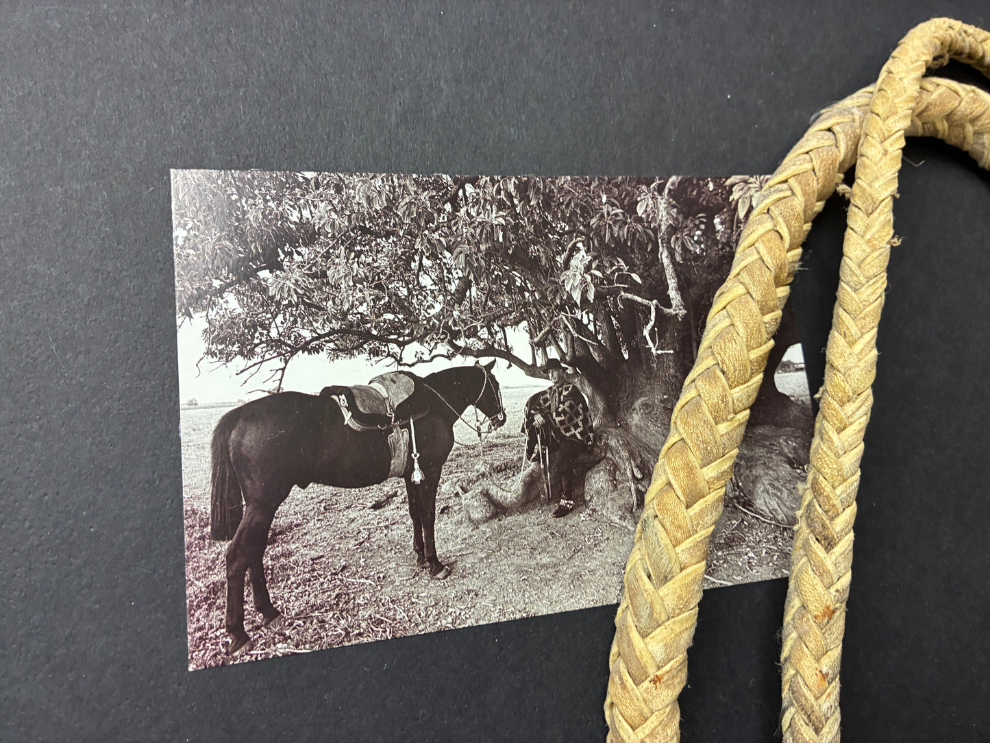 Argentina Framed Western Braided Leather Rope Art