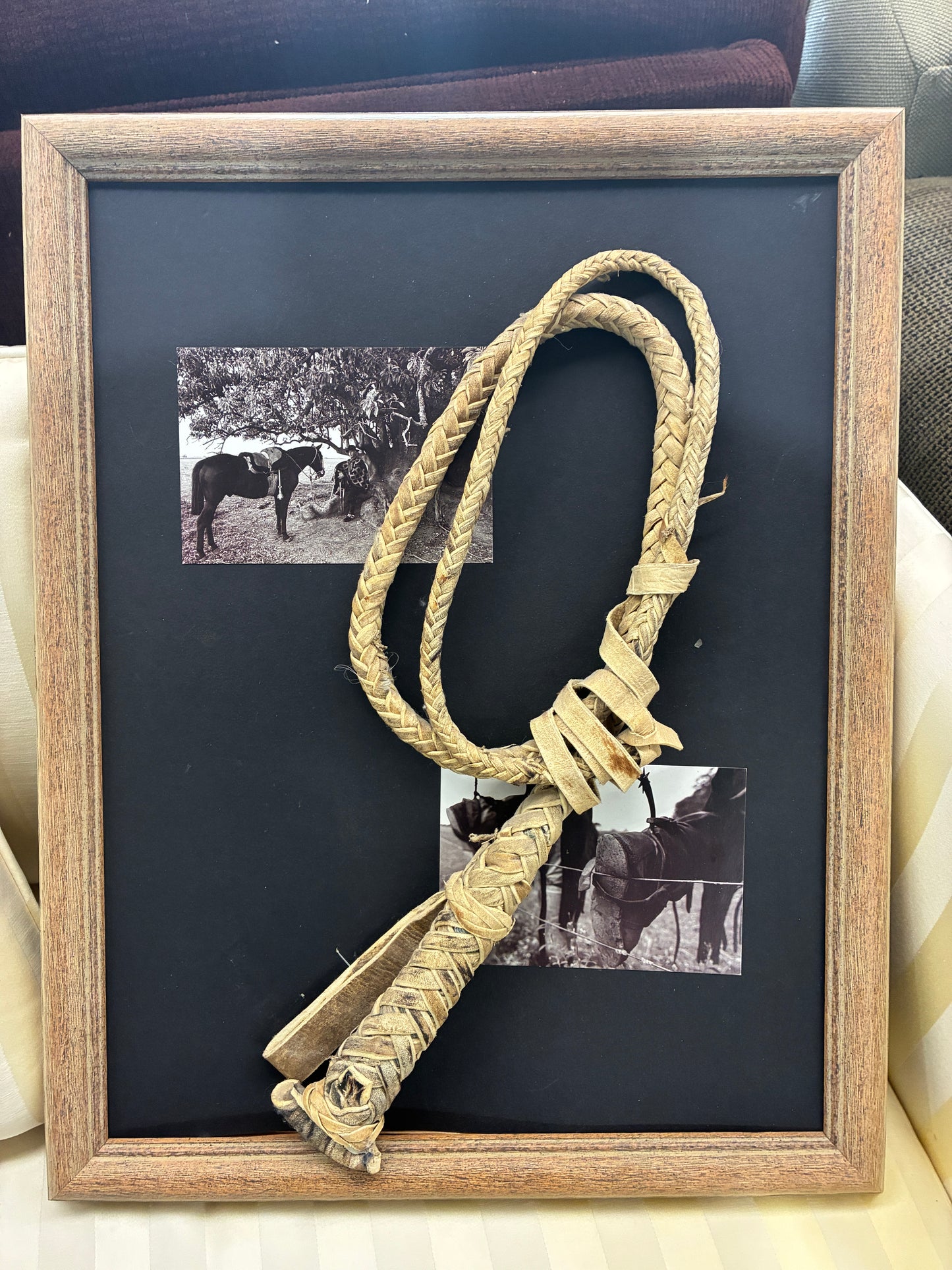 Western Braided Rawhide Quirt Shadow Box Wall Art