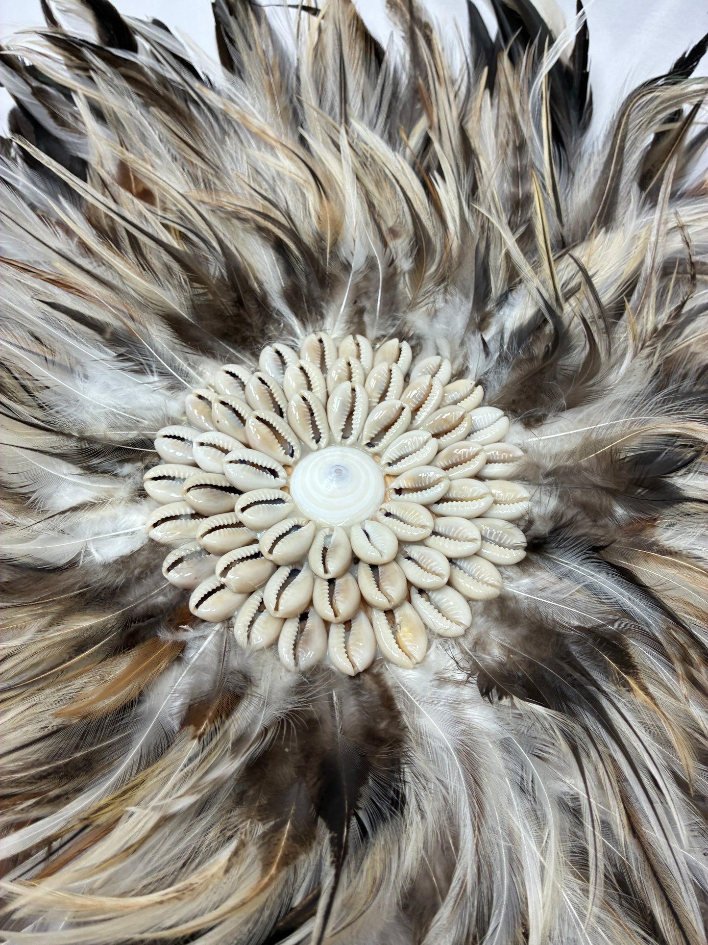 Decorative Feather Wall Art Discs with Shell Center