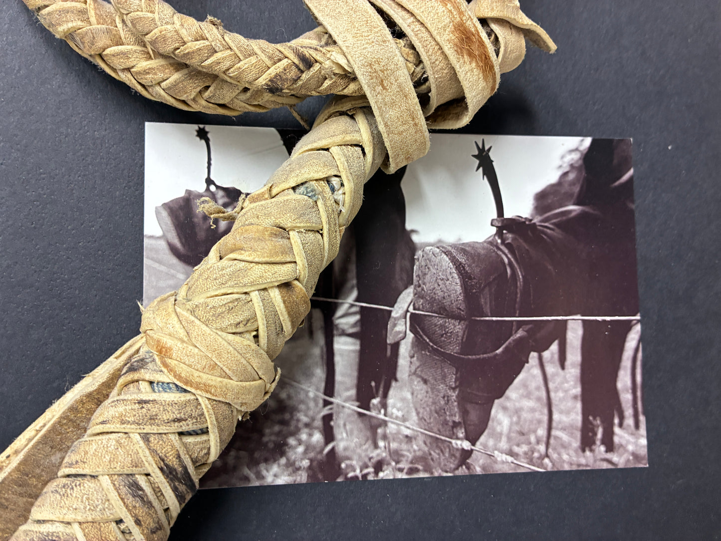 Argentina Framed Western Braided Leather Rope Art