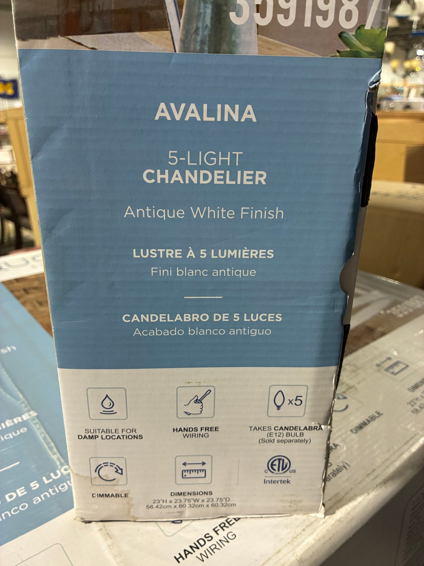 Quoizel Avalina 5 Light Chandelier in Antique White