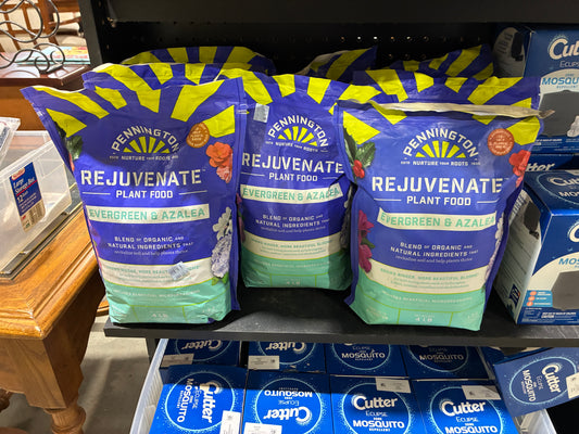 Pennington Rejuvenate Evergreen and Azalea Plant Food 4 lb