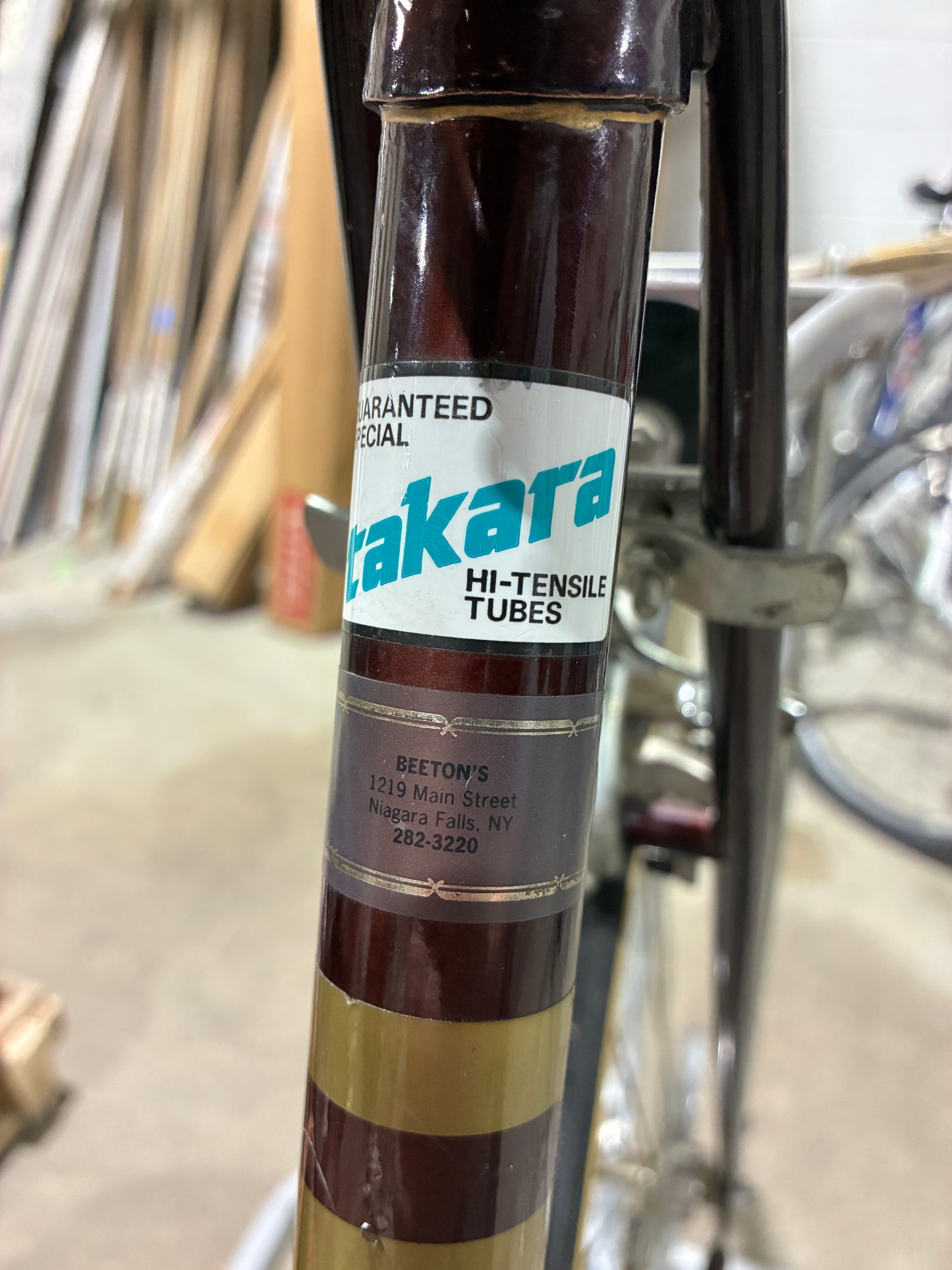 Takara Deluxe Touring Road Bike