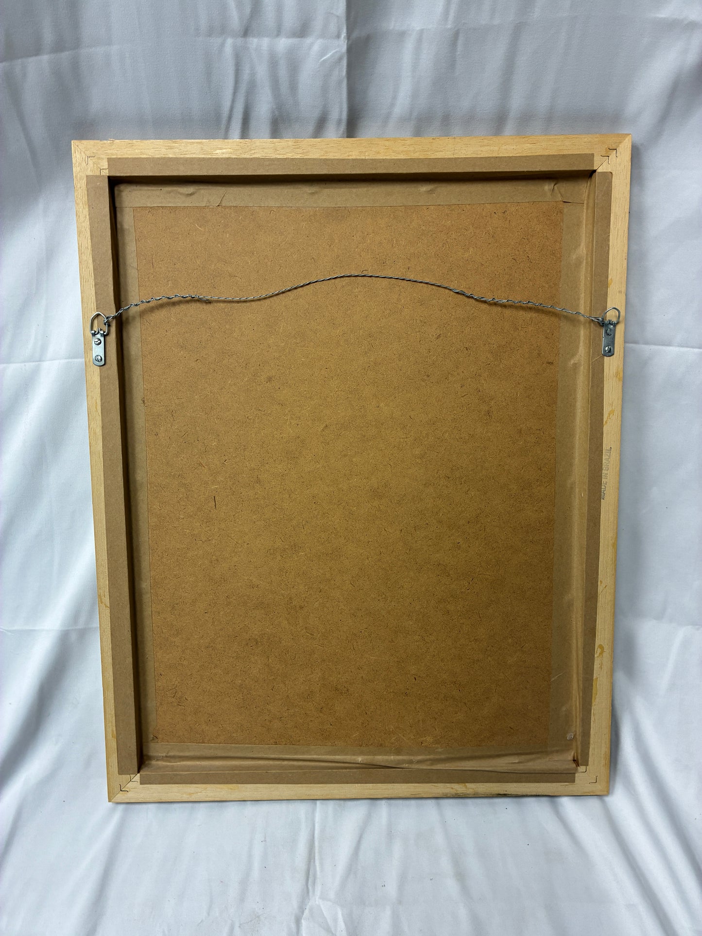 Argentina Framed Western Braided Leather Rope Art