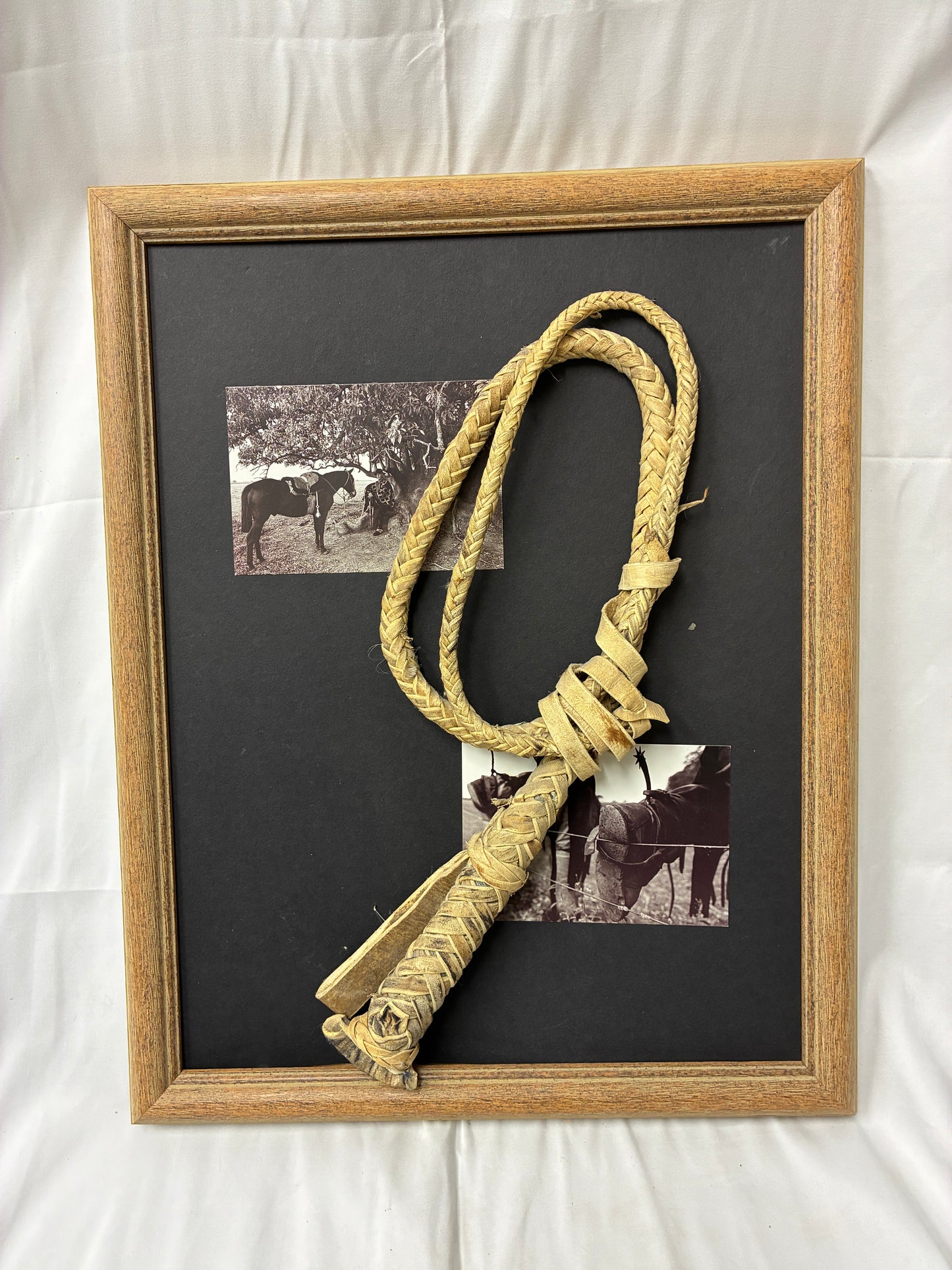 Argentina Framed Western Braided Leather Rope Art