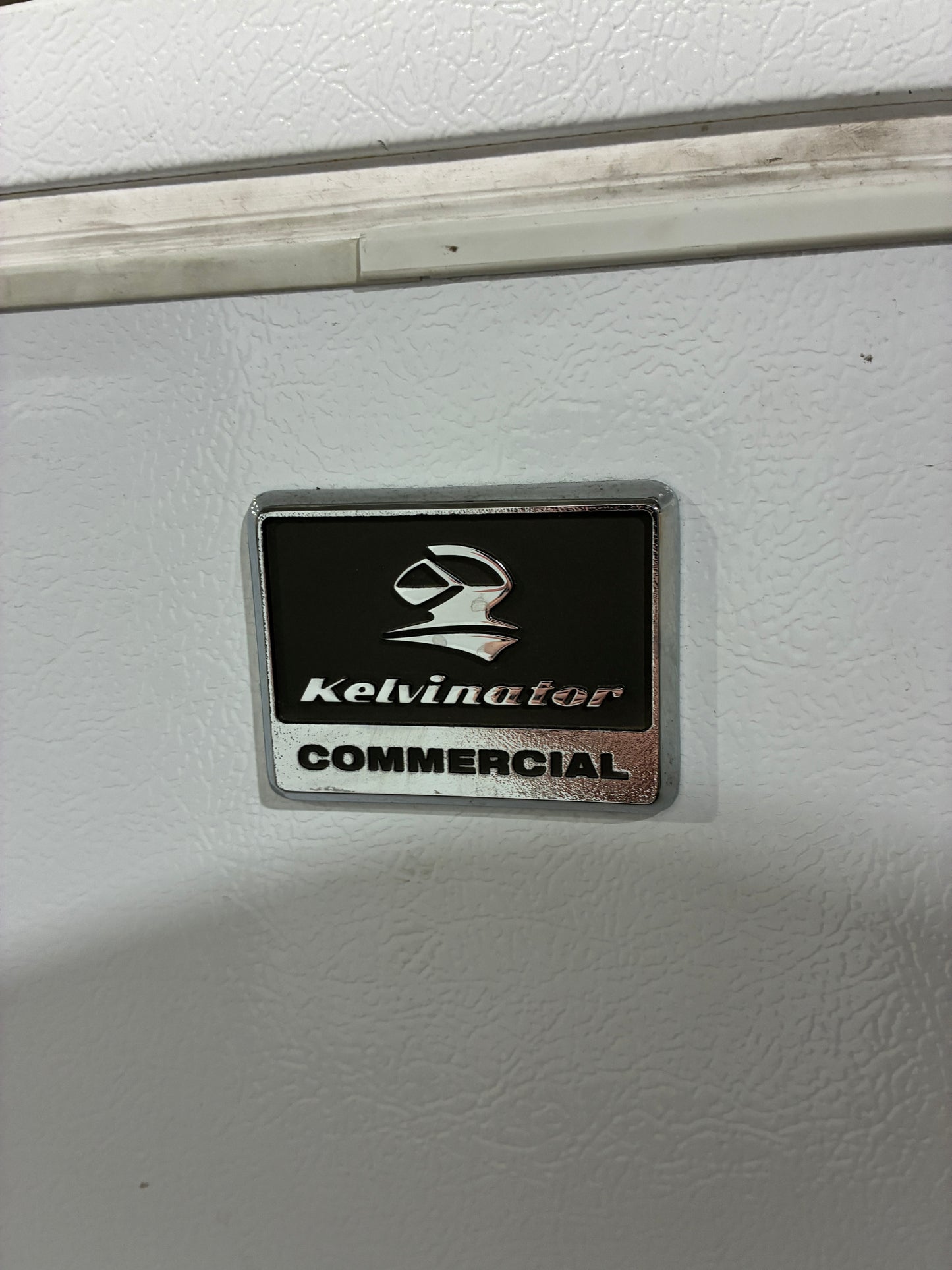 Electrolux Commercial Chest Freezer #1
