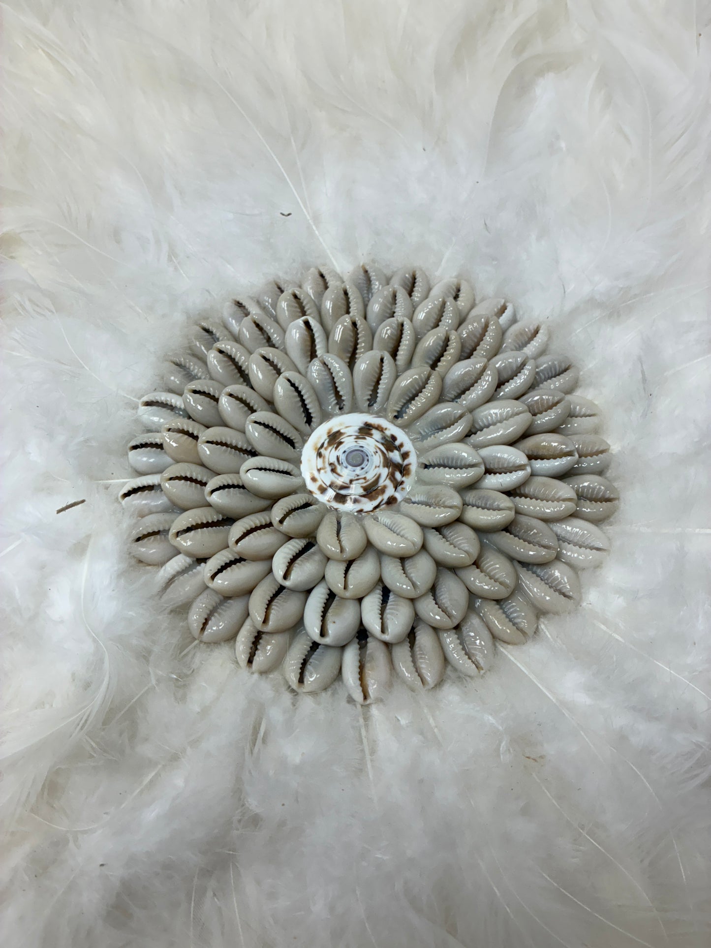 White Feather Wall Art Discs with Shell Center