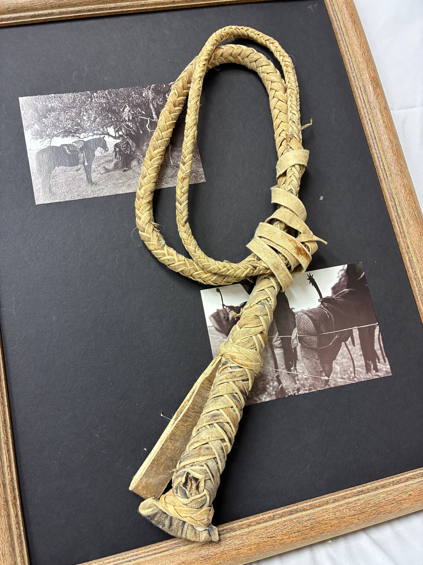 Argentina Framed Western Braided Leather Rope Art