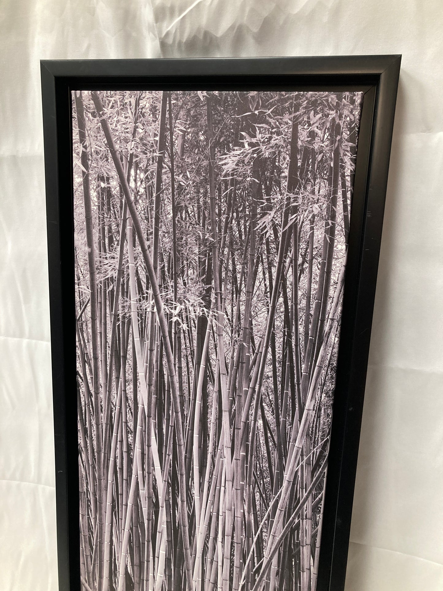 Framed Black & White Bamboo Forest Print
